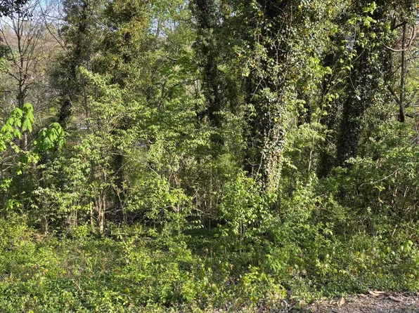 LOT 14 Ashley St, Kingsport, TN 37664