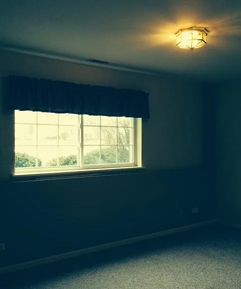 recreation room/basement