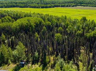 13687 Beaver Dr, Willow, AK 99688