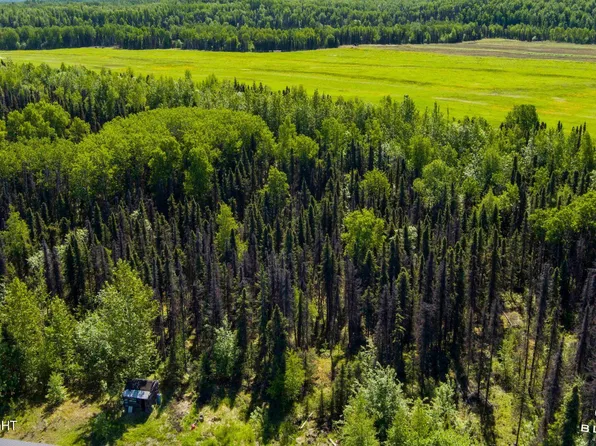 13687 Beaver Dr, Willow, AK 99688