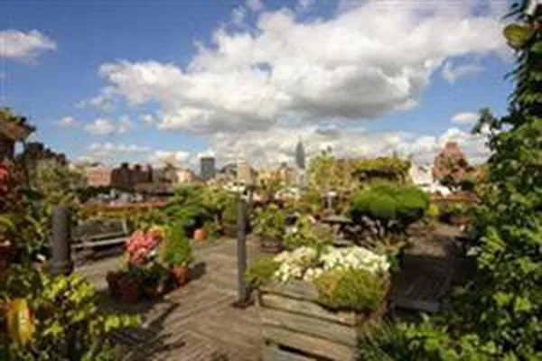 Sold by Douglas Elliman | media 14