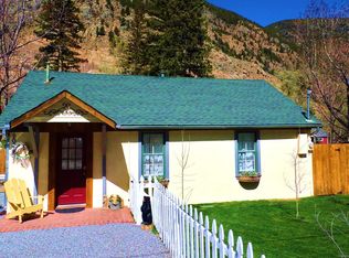 1021 Griffith St, Georgetown, CO 80444