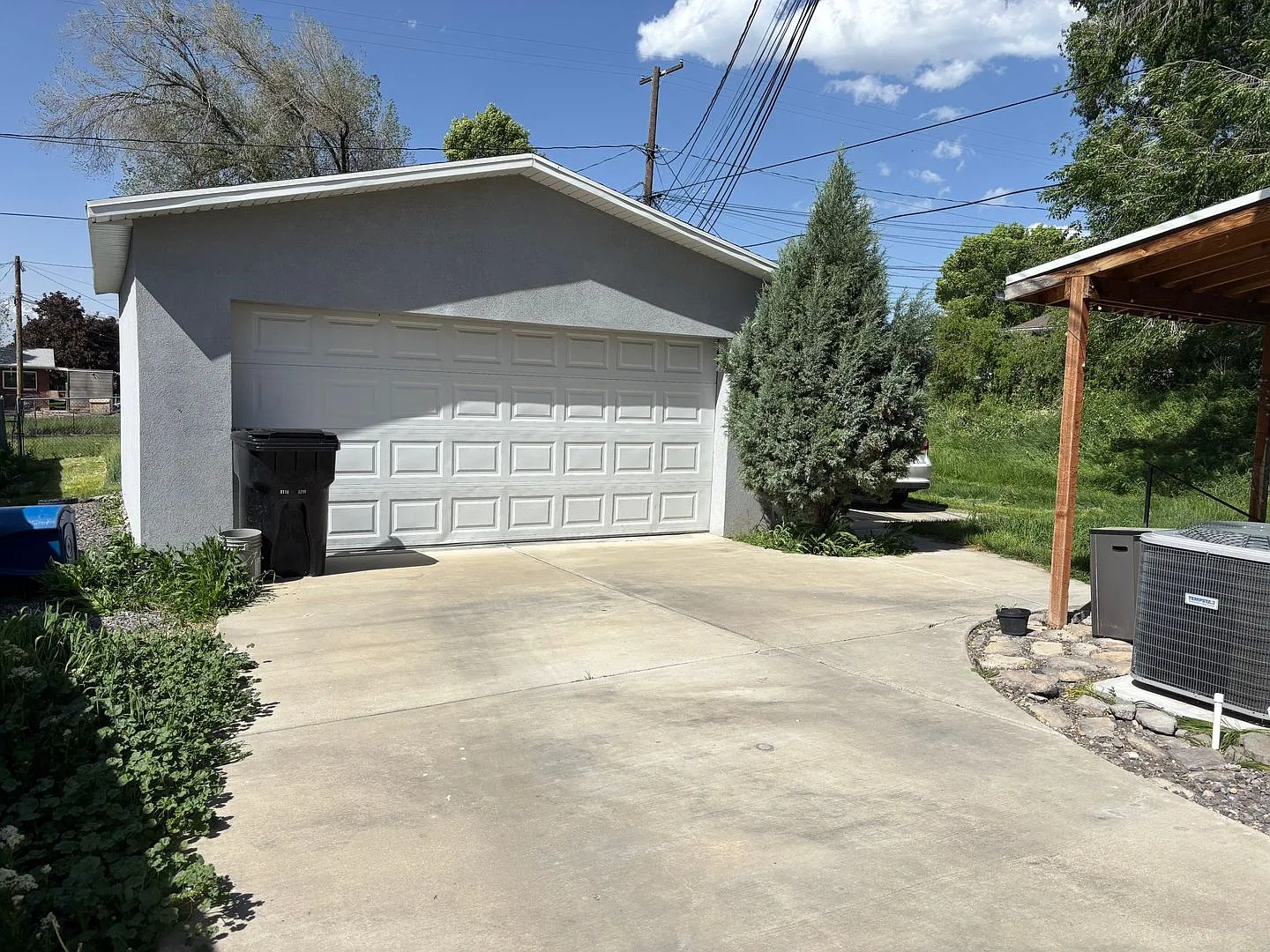 TFH 541 East — Photo 3