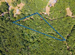 487 Jollett Ln, Elkton, VA 22827