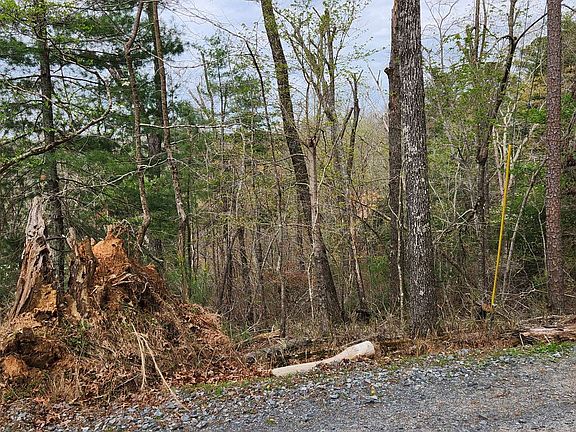 2nd image of 0 Dora Ln Lot 567