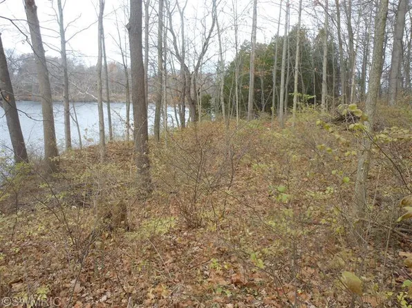 11933 S Lake Chapin Rd, Buchanan, MI 49103