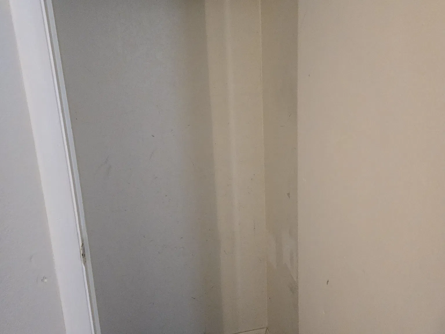 3 bed, 1324 sqft, $1,750 — Photo 3