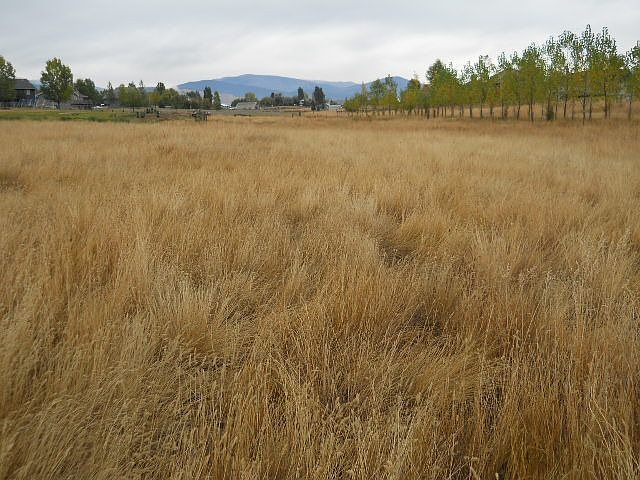 1st image of 8619 Wentland Ct
