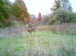 N Stoney Creek Rd, Monroe, MI 48162