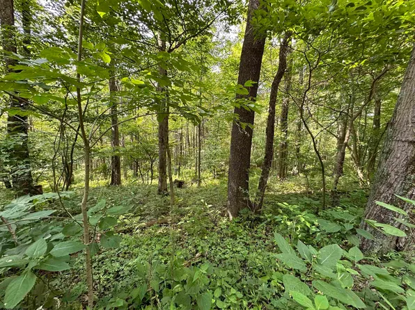 5&6 Turtle Rock Ests, Terra Alta, WV 26764