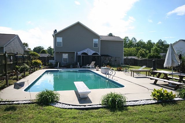 Look what's in the backyard!