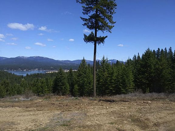 2nd image of 9905 N Elk Ln