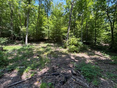 0 Deer Ridge Estates Rd, Whitwell, TN, 37397