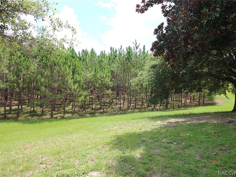 1600 W Spring Meadow Loop — Photo 31