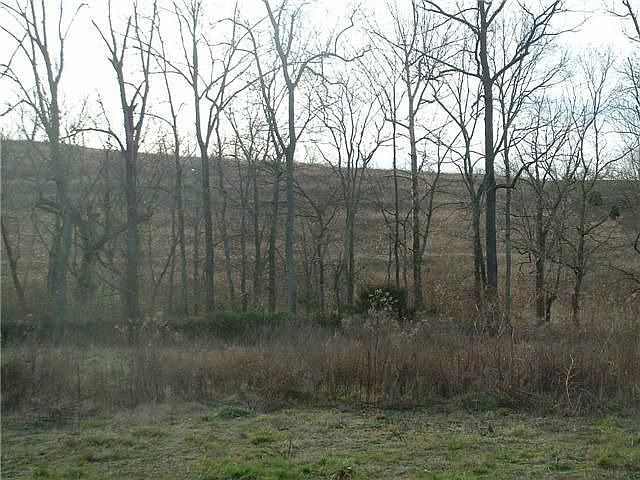 2nd image of 1321 Harris Hollow Rd