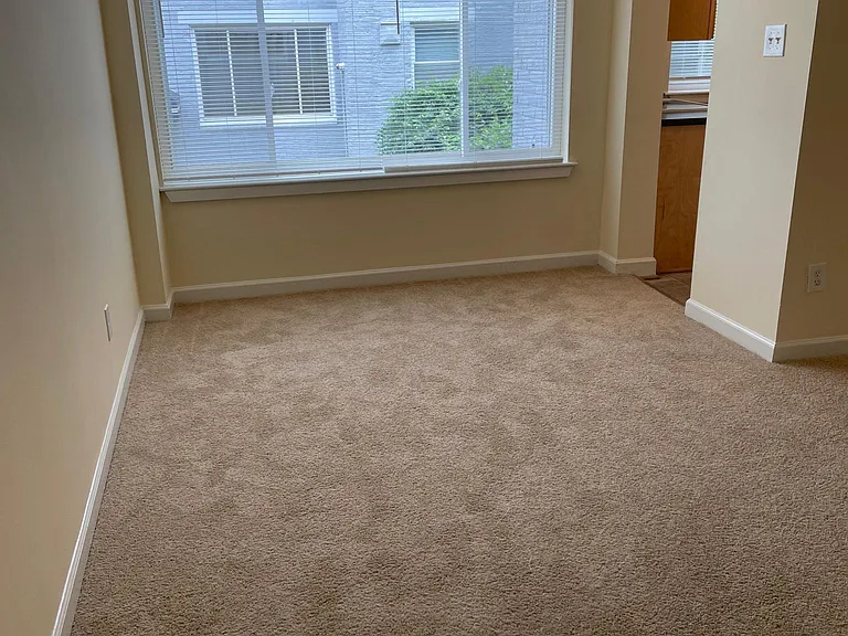 730 Brandywine St SE #303 — Photo 8
