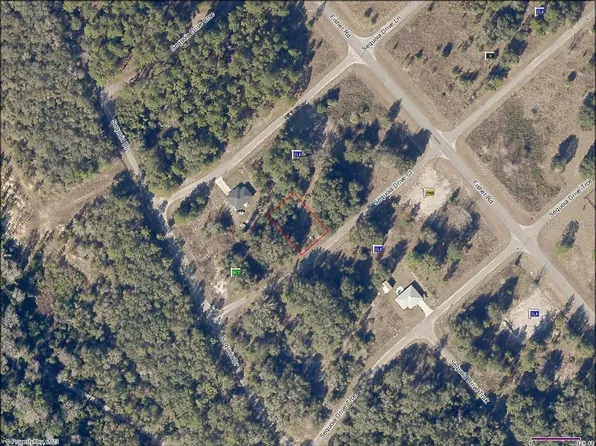 Sequoia Drive Ct Lot 3, Ocklawaha, FL 32179