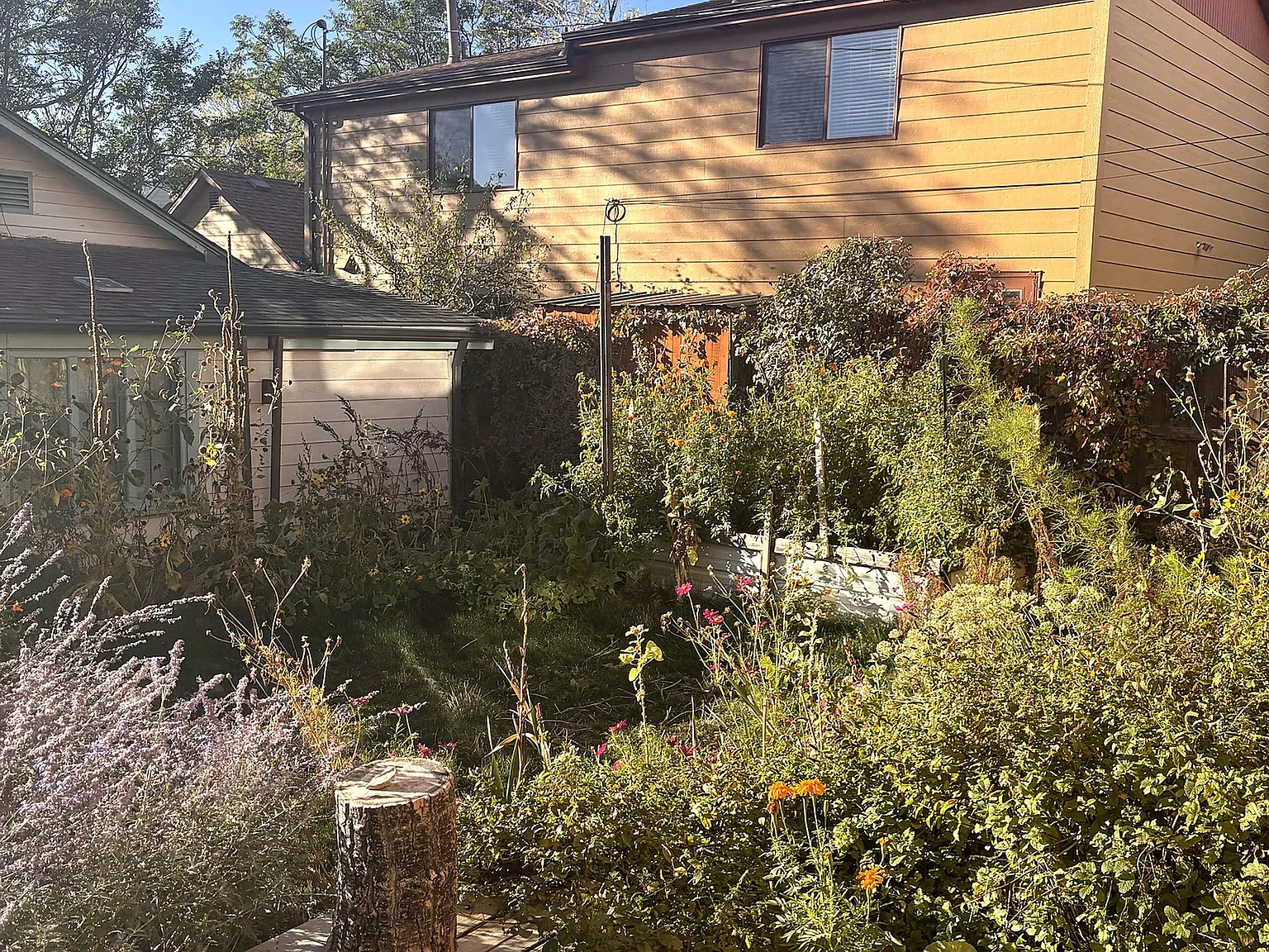 1 bed, 750 sqft, $2,200 — Photo 3