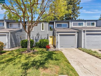 239 Ashley Cir, Danville, CA, 94526