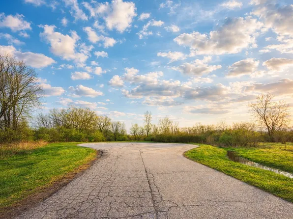 24732 S Murphy Ln, Monee, IL 60449