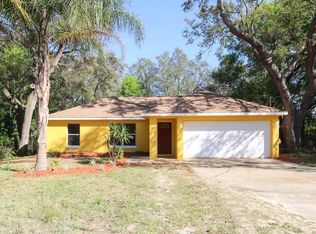 40118 Palm St, Lady Lake, FL 32159