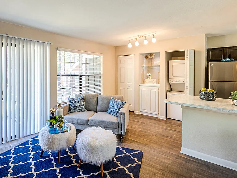 Kitchen and Living Area