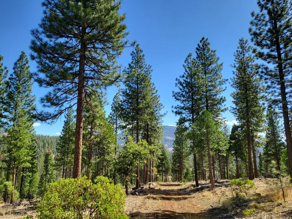 0 Roney Flat Rd, Adin, CA 96006
