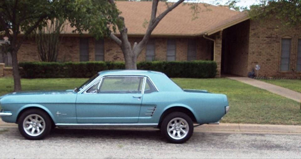 mustang