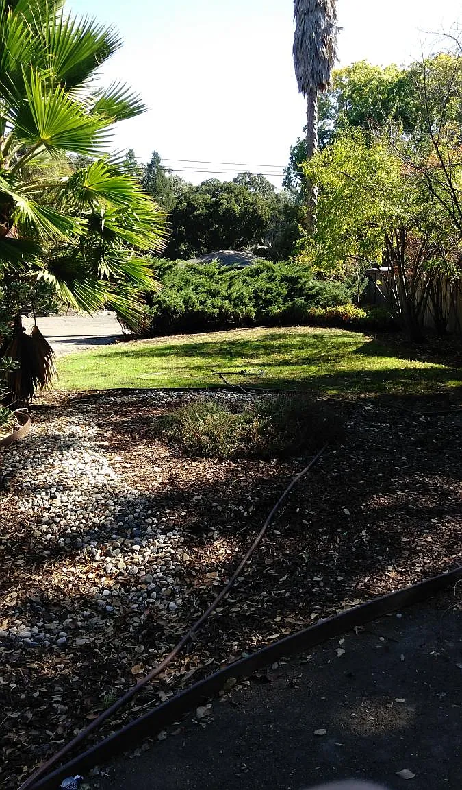 3 bed, 1350 sqft, $3,600 — Photo 1