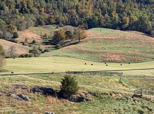 Little Sycamore Rd, Tazewell, TN 37879