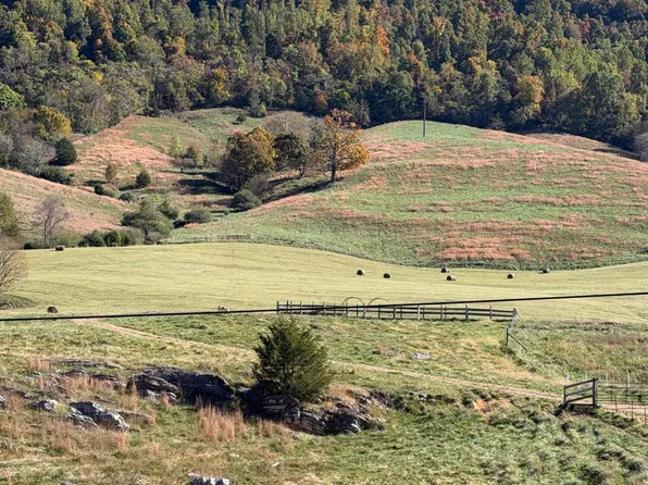 Little Sycamore Rd, Tazewell, TN 37879