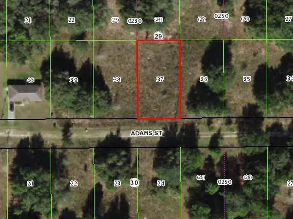 2216 Adams St, Inverness, FL 34453