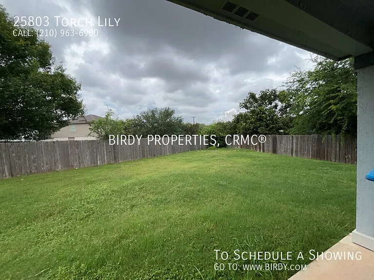25803 Torch Lily — Photo 42