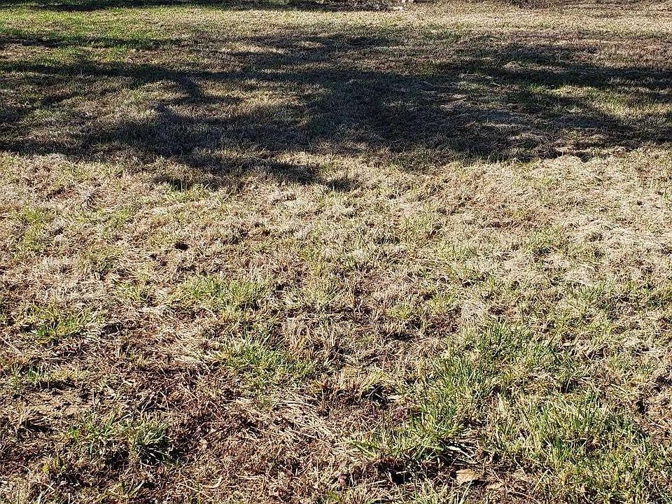2nd image of 141 County Road 328 Lot 1