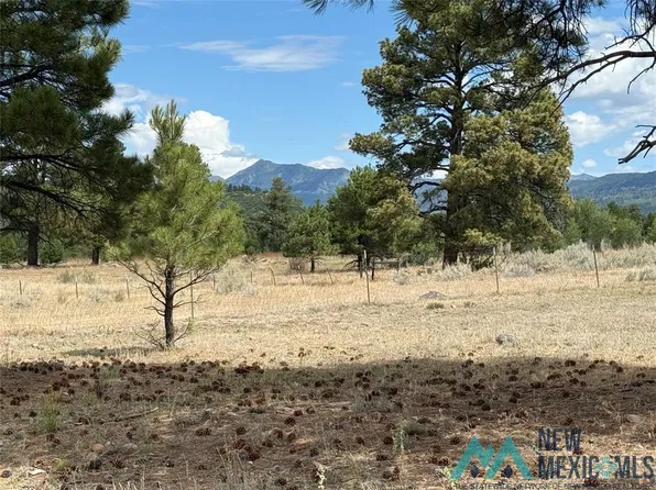 0 Thistle Loop, Chama, NM 87520