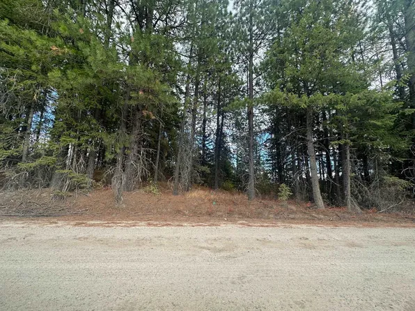 4450 Buck Creek Rd, Loon Lake, WA 99148
