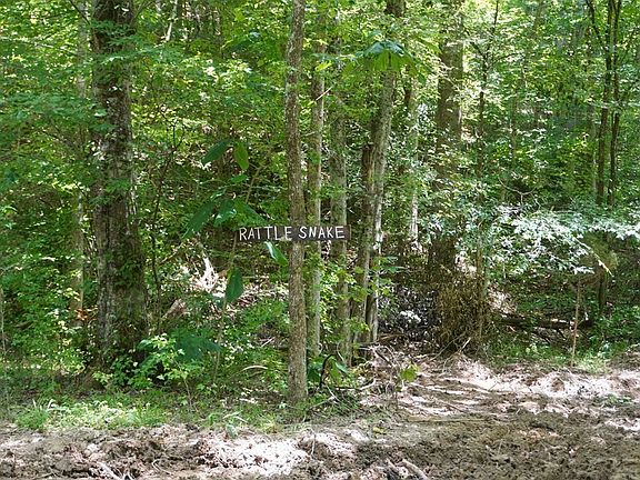 3rd image of 3301 Joppa Mountain Rd