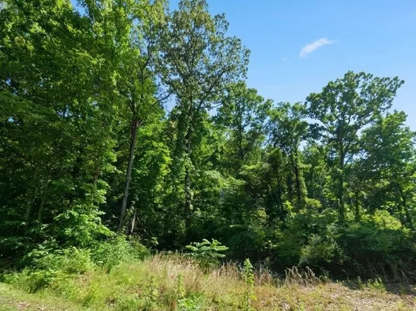 77 Autumnwood Trl, Decatur, AL 35603