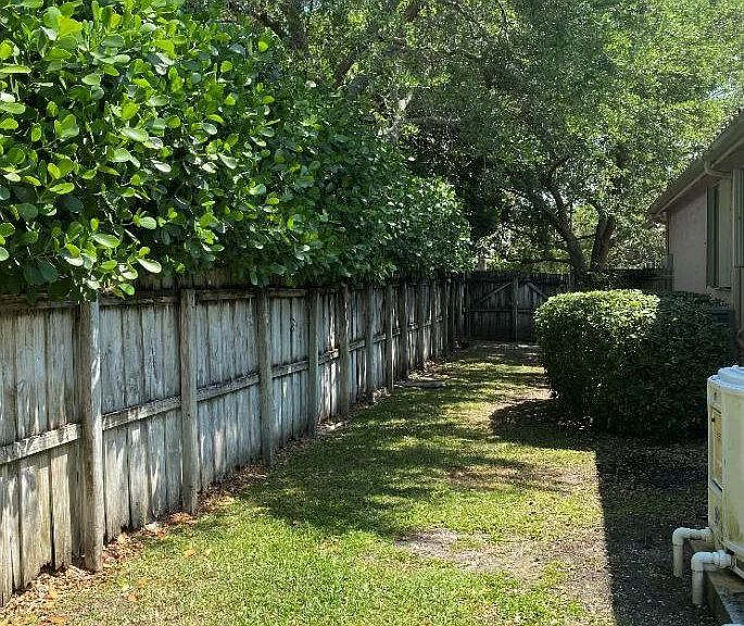 yeard side north