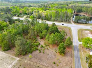 0 Hallman Wagon Rd, Leesville, SC 29070