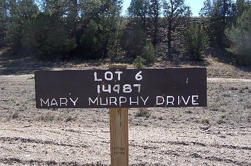 2nd image of 14987 Mary Murphy Dr