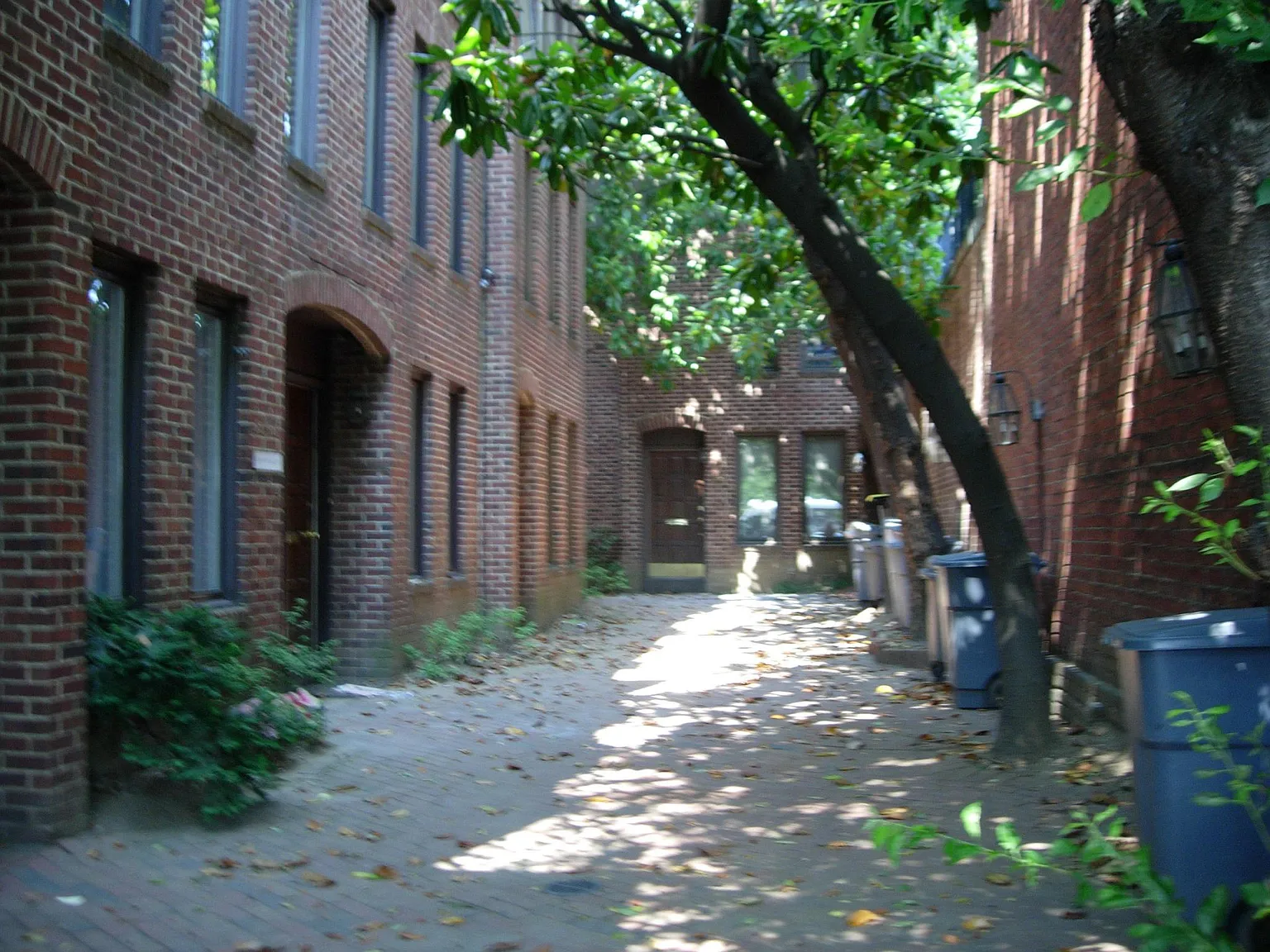2 bed, 700 sqft, $3,600 — Photo 1