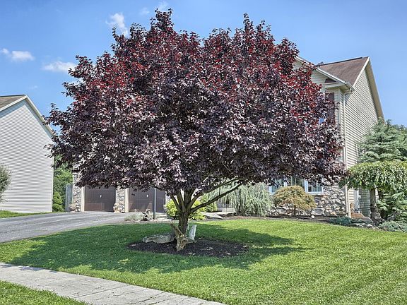 3rd image of 3208 Jonagold Dr