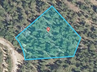 334 Eva Rd, Idaho Springs, CO 80452