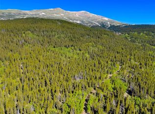 715 Lewsader Rd, Alma, CO 80420