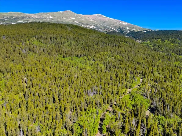 715 Lewsader Road, Alma, CO 80420