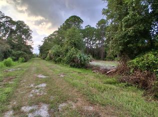 334 REDWOOD BOULEVARD LOT 38, GEORGETOWN, FL 32139