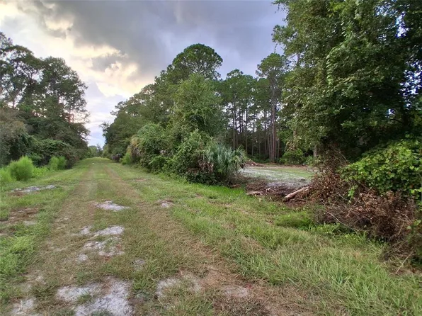 334 REDWOOD BOULEVARD LOT 38, GEORGETOWN, FL 32139
