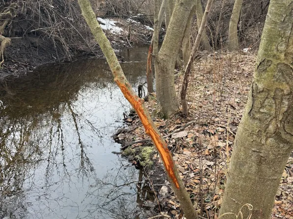 70 Street, Covert, MI 49043