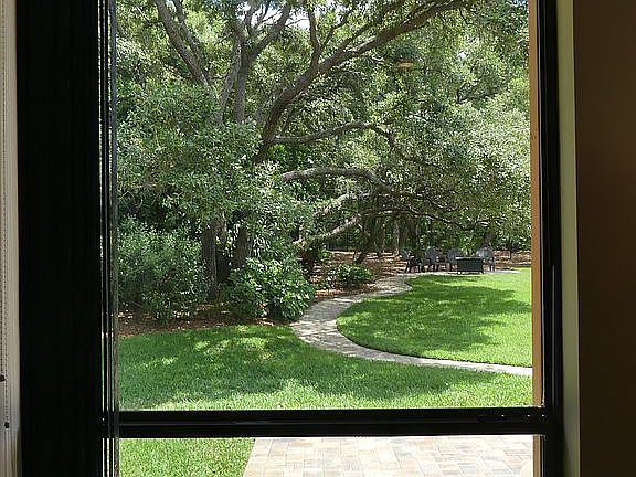 Beautiful backyard from G.R.